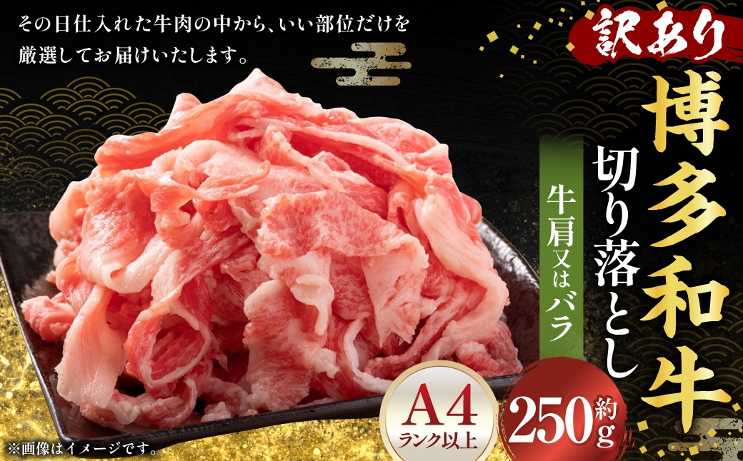 
                  訳あり！ 博多和牛A4ランク以上 切り落とし 約250g 赤身 バラ肉 切り落とし 夕食 炒め物 お肉 肉 ニク にく 牛肉 牛 博多和牛 和牛 バラ 牛肩 肉料理
                