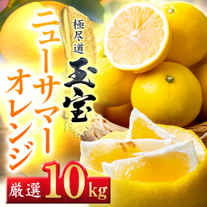 【先行受付】【愛媛名産】玉宝ニューサマーオレンジ　10kg【H64-39】【1510857】 YWTY028
