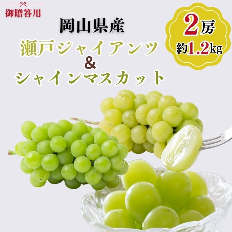 
                  御贈答用 岡山県産 瀬戸ジャイアンツ シャインマスカット 2房入り(1.2kg以上) ぶどう ブドウ 葡萄 フルーツ 果物 岡山 瀬戸内市
                