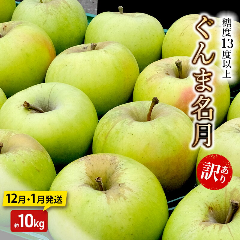 【ふるさと納税】りんご【12月・1月発送】糖度13度以上訳あり品 家庭用 ぐんま名月 約10kg【青森りんご】　お届け：2026年12月上旬～2027年1月末