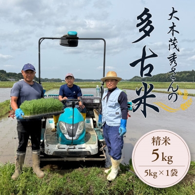 
            多古米セレクション　大木茂秀さんの多古米コシヒカリ　精米5kg　令和7年産【1655382】
          