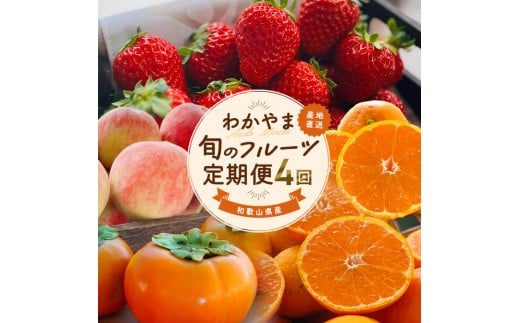 
            わかやま旬のフルーツ定期便[S] 全4回 2～3・7・10・11～12月発送 家庭用［MS123］
          