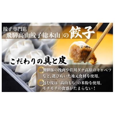 ふるさと納税 高山市 飛騨高山餃子100個入(生冷凍)簡易包装　TR3493 |  | 01