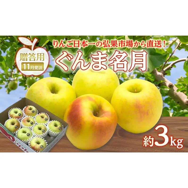 りんご 【 11月発送 】 贈答用 ぐんま名月 約 3kg　リンゴ 林檎 青森りんご 糖度 13度 甘い 酸味 デザート フルーツ 果物 お取り寄せ 産地直送 旬 季節限定 弘果物流 青森県 西目屋村