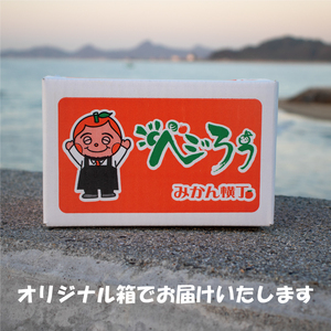 【みかん】訳あり みかん ポンカン 約2㎏ 【VEG0131】