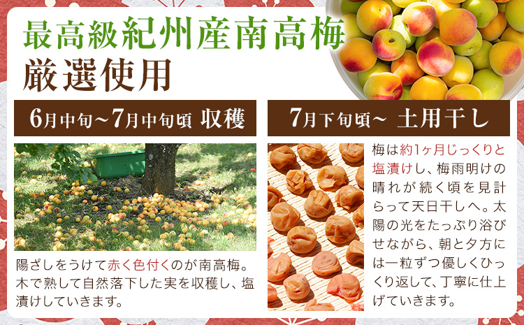 紀州南高梅 つぶれ梅 はちみつ漬 塩分8％ 1パック400g×3パック 株式会社味季屋《30日以内に出荷予定(土日祝除く)》和歌山県 日高町 梅 梅干し 南高梅 はちみつ梅---wsh_ajk6_30