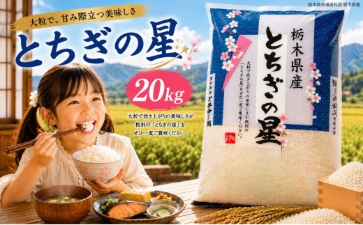 令和8年度 新米 栃木県産 とちぎの星 白米 5kg×4袋（合計20㎏） | ふるさと 納税 お弁当 お米 精米 美味しい 白米 つやつや とちぎ 大粒 共通返礼品 送料無料 那珂川町 栃木県【栃木県共通返礼品】