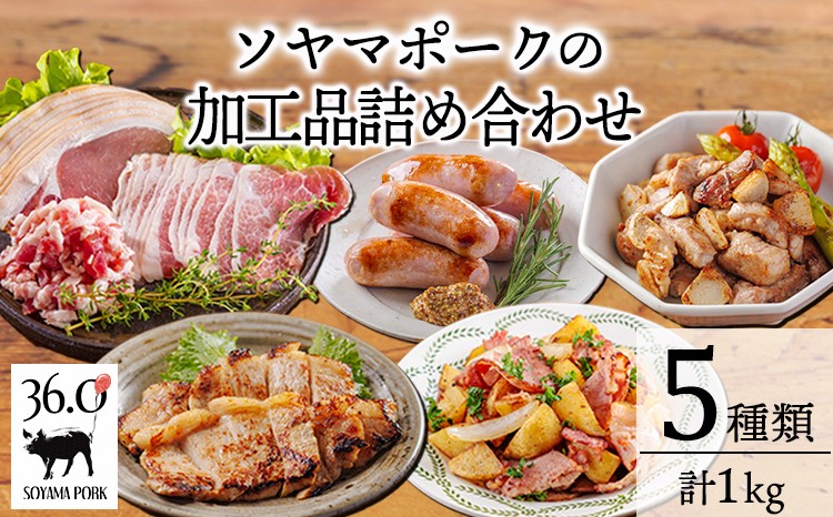 
                  ソヤマポークの加工品詰め合わせ[ロース バラ モモ パンチェッタ サイコロステーキ みそぶた おつまみ パーティー]TF862-P00078
                