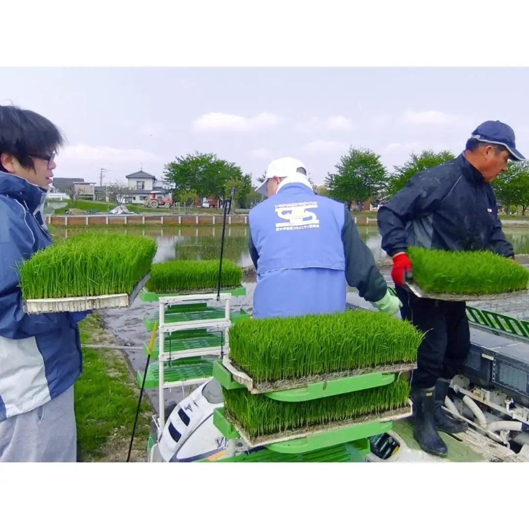 新之助 定期便5kg×3か月 人生応援米 令和7年産 アグリ巧房 新之助