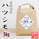 【ふるさと納税】≪令和6年産≫ 新米 【3か月定期便】岐阜県産ハツシモ5kg