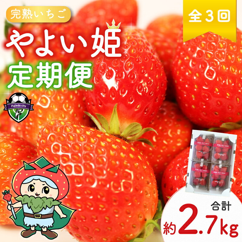 【ふるさと納税】 【 先行予約 】 2027年2月～発送予定 【全3回定期便】 やよい姫 約920g 230g×4パック ※2月3月4月発送 いちご 完熟 苺 産地 直送 フレッシュ イチゴ 贈答 フルーツ 果物 国産 定期便 静岡県 藤枝市