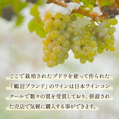 ふるさと納税 浦臼町 鶴沼収穫ワイン【スペシャルキュヴェ　ピノ・ブラン】白ワイン 2019年産 |  | 03