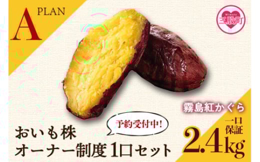 
            【期間限定】＜【Ａ】おいも株オーナー制度1口セット2株 霧島紅かぐら（最低2.4kg保証）＞12月中旬頃に熟成されたさつまいもをお届け！きりしまべにかぐら サツマイモ 芋 権利書 チケット 体験 苗植会 収穫祭【MI106-sh-oya】【株式会社育みの里しろはと】
          