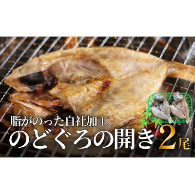 ふるさと納税 氷見市 脂がのった自社加工 のどぐろ開き (冷凍) | 添加物不使用
