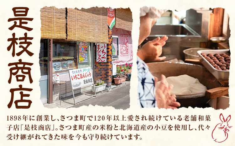 いちごまんじゅう引換券 計25個分 是枝商店《5月上旬-9月末頃出荷》鹿児島県 さつま町 和菓子 饅頭 まんじゅう いちごまんじゅう うるち米 粒あん 特産品 チケット【店舗引き取り限定】---stm