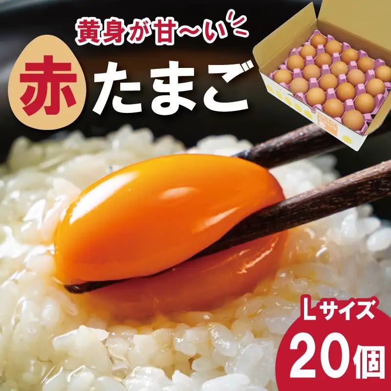 新鮮たまご 赤玉 Lサイズ 20個 中村養鶏場 ny1