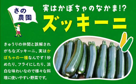 さの農園の ズッキーニ 約2kg 約10本前後