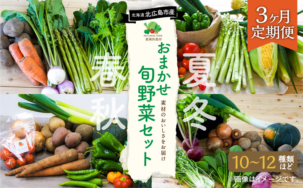 【3ヶ月定期便】おまかせ旬野菜セット