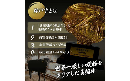 神戸牛 焼肉用 厚切り落とし  500g (BBQ 不揃い 切り落し 訳あり)