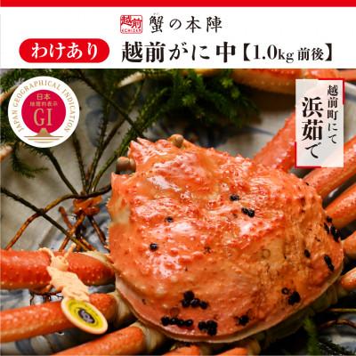 ふるさと納税 越前町 【わけあり】冬の日本海の味　浜茹で【越前がに　中　1.0kg前後】11月〜翌3月順次発送