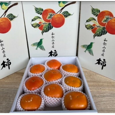 【ふるさと納税】【先行予約　2025年11月以降順次発送】紀州てまり　4Lサイズ【1508724】