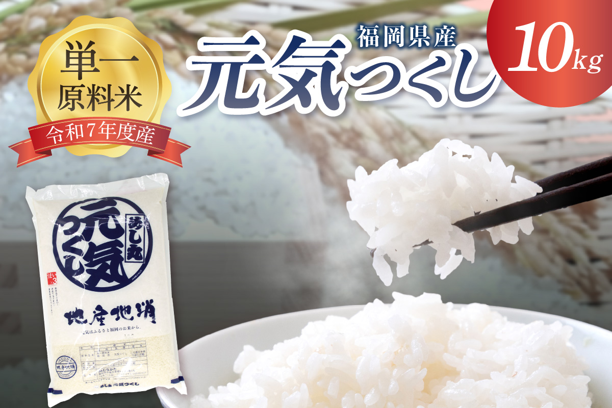 令和7年産 新米先行予約！JAよりお届け！福岡県ブランド米「元気つくし」10kg【ほたるの里】_HA1789