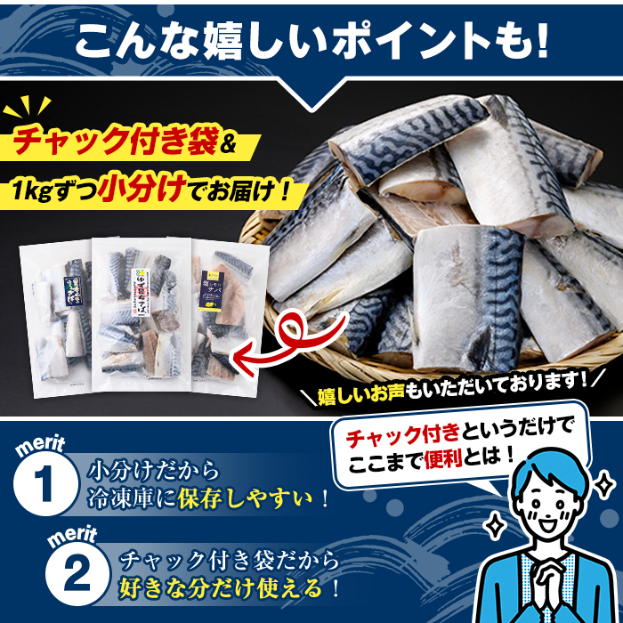 訳あり・傷あり ご家庭用さば切身パック(計1kg・瀬戸内塩レモン鯖) サバ 鯖 海産物 海鮮 おかず 惣菜 焼き魚 切り身 ジップロック チャック付き袋 簡単調理 【グローバルフーズ】akn061-3