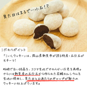 焼き菓子 Sekkai こいしクッキー 20袋（プレーン・ココア各10袋）