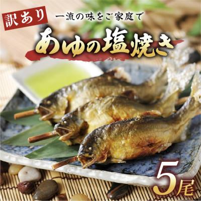 ふるさと納税 彦根市 訳あり あゆの塩焼き5尾 簡単調理で食べられる身が締まった国産のブランド鮎