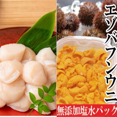 ふるさと納税 根室市 エゾバフンウニ塩水パック1P、お刺身ホタテ貝柱500g[2027年1月中旬以降発送] D-40052