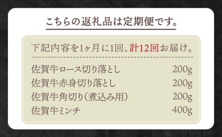 【全12回定期便】おふたりさま向け 佐賀牛 普段使いセットB【田中畜産牛肉店】農林水産大臣賞 ロース 赤身 角切り 切り落とし[HBH113] 佐賀牛 牛肉 農林水産大臣賞 佐賀牛 牛肉 ロース 佐賀