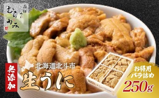 
「うにむらかみ」無添加生うにお得用バラ詰め250g 【 ふるさと納税 人気 おすすめ ランキング うに ウニ 雲丹 海栗 塩水ウニ 塩水うに キタムラサキウニ バフンウニ うに丼 海鮮 ミョウバン 不使用 北海道 北斗市 送料無料 】 HOKT003
