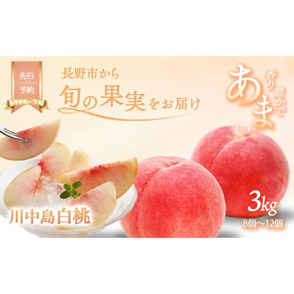前島農家 川中島白桃約3kg（8個～12個） | 桃 フルーツ 旬