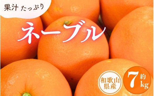 ネーブル 約7kg/サイズおまかせ　※2027年1月中旬～2027年2月中旬頃に順次発送予定(お届け日指定不可)　紀伊国屋文左衛門本舗【ntb430C】