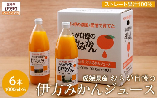 【愛媛県産】おらが自慢の伊方みかんジュース（1000ml×6本）ストレート果汁100％【 ふるさと納税 人気 おすすめ ランキング みかん ミカン 蜜柑 ジュース みかんジュース ミカンジュース クリエイト伊方 愛媛県 伊方町 送料無料 】 IKTI008