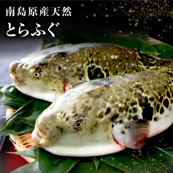 【2027年4月-発送】南島原産 天然 とらふぐ 刺身 5-6人前 ×2 Wセット（2箱） / ふぐ フグ トラフグ ふぐアラ 魚 ヒレ酒  / 南島原市 / 大和庵 [SCJ020]