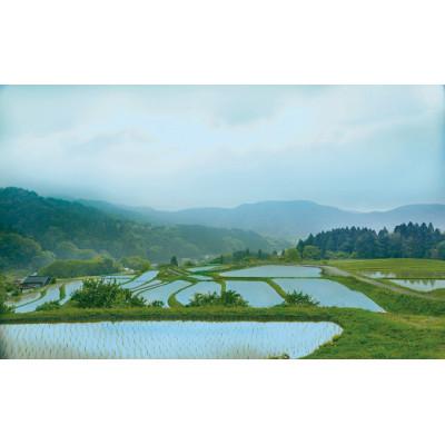 ふるさと納税 岩美町 「道の駅きなんせ岩美」棚田米もみからまい5kg |  | 01