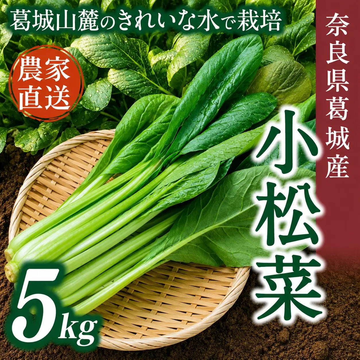 奈良県産 小松菜 約5kg  【順次発送】葛城市【smlk062】