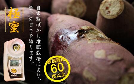 【鹿児島県産】熟成 紅はるか 3kg (1箱 ) Mサイズ さつまいも