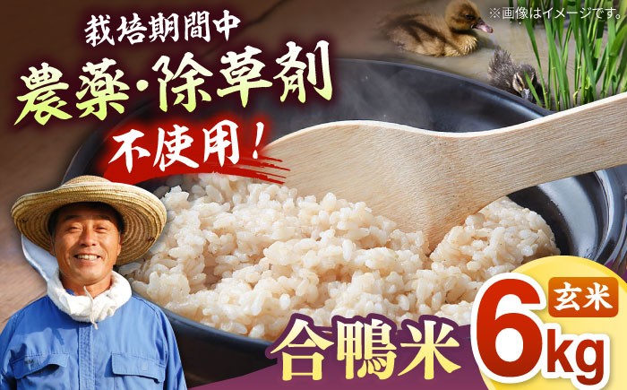 
                  [栽培期間中 農薬不使用 ]古野農場の 合鴨農法 で作った 合鴨米（ 玄米 ）6kg ▼ 福岡 おすすめ 美味しい 名産品 無農薬米 米 玄米 桂川町/合鴨家族 古野農場[ADAL001]
                