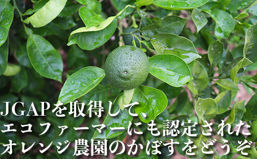 オレンジ農園のかぼす 約4kg（大分県杵築市産） ＜114-004_5＞