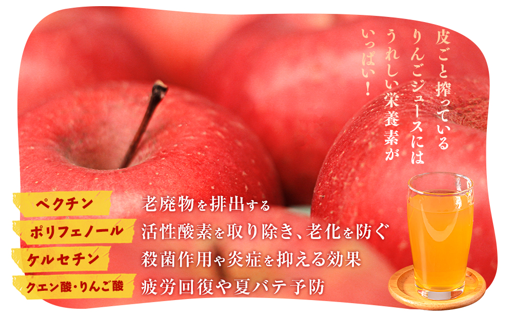 搾りたて果汁100％！無添加りんごジュースお楽しみ６本セット　訳あり