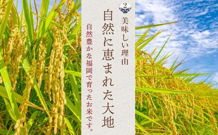 【新米】【令和6年産】 福岡県産 米 夢つくし 15kg セット ( 5kg×3袋 )