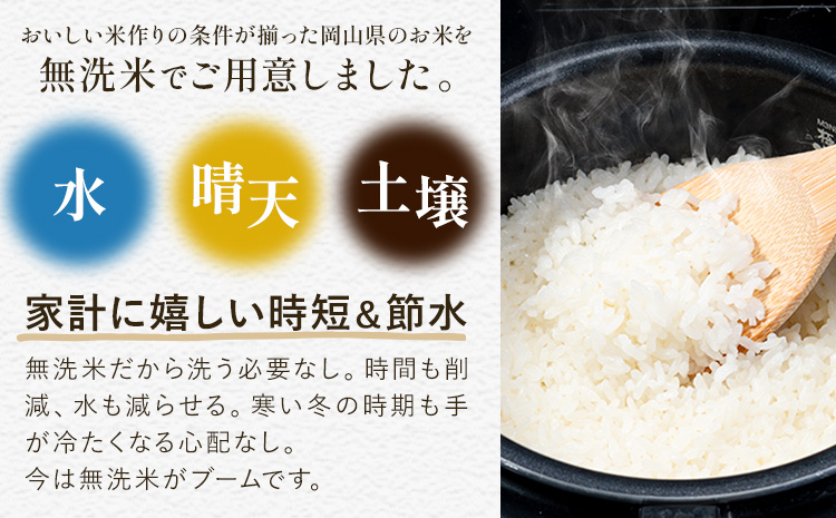 無洗米 米 使い切り パック メール便 4合 (600g) 晴れの国おかやま無洗米《30日以内に出荷予定(土日祝除く)》岡山県 笠岡市 送料無料 岡山県産 米 ふるさと納税 わけあり 以上のお米ならこ