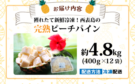 穫れたて新鮮冷凍！西表島の完熟ピーチパイン4.8kg(400g×12袋)　