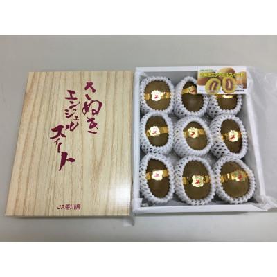 ふるさと納税 高松市 【発送月固定定期便】【ALL化粧箱】高松市自慢のキウイフルーツ【A】全3回 |  | 01