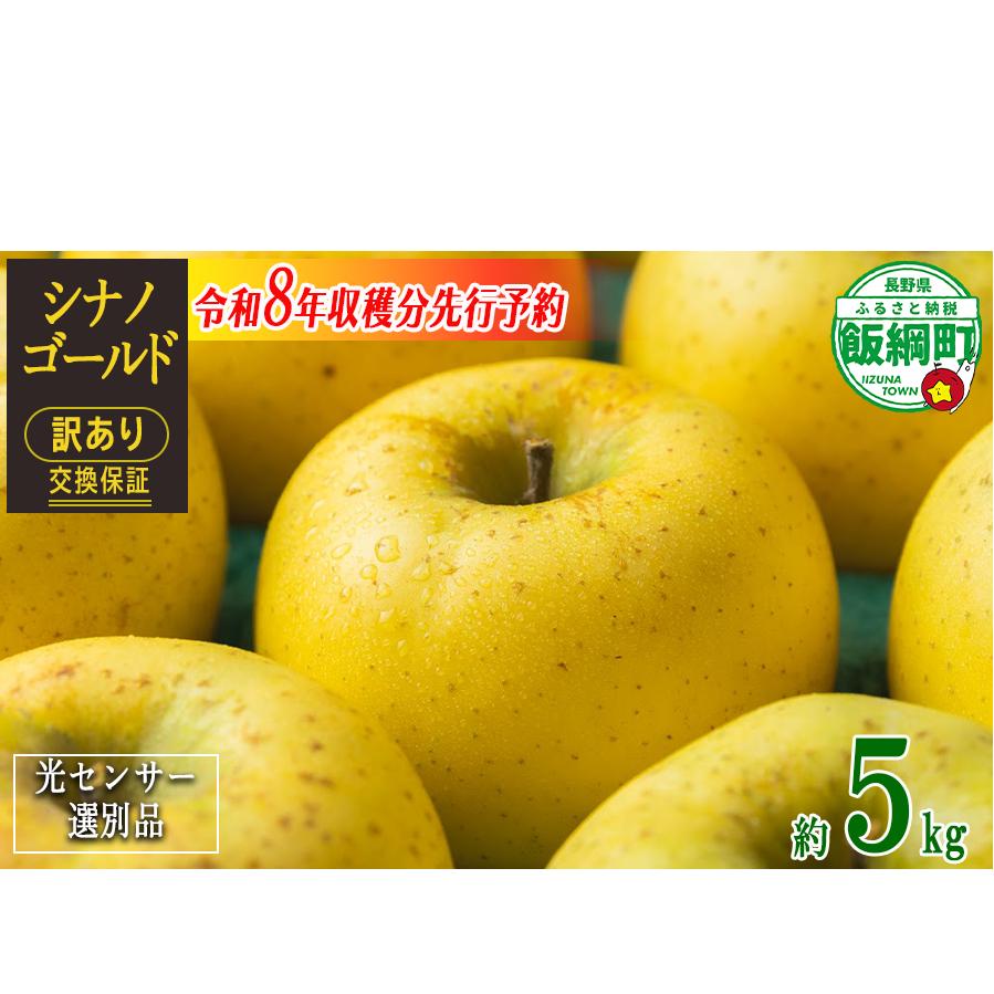 【 感謝りんご / 光センサー選別品 】 りんご シナノゴールド 訳あり 5kg （ 12玉 〜 25玉 ） 交換保証 ながの農業協同組合 沖縄県への配送不可 2026年11月上旬頃から2026年11
