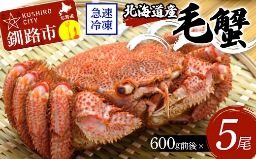 【期間限定！寄附額改定↓！】北海道産毛蟹600g前後×5尾 北海道 カニ 毛ガニ 毛蟹 かに かに味噌 急速冷凍 活蟹 活毛蟹 活毛ガニ F4F-8648