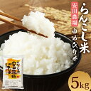 【ふるさと納税】らんこし米 特別栽培米 ゆめぴりか 5kg 安田農場 令和5年産 お米 白米 精米 蘭越町産 北海道産 送料無料