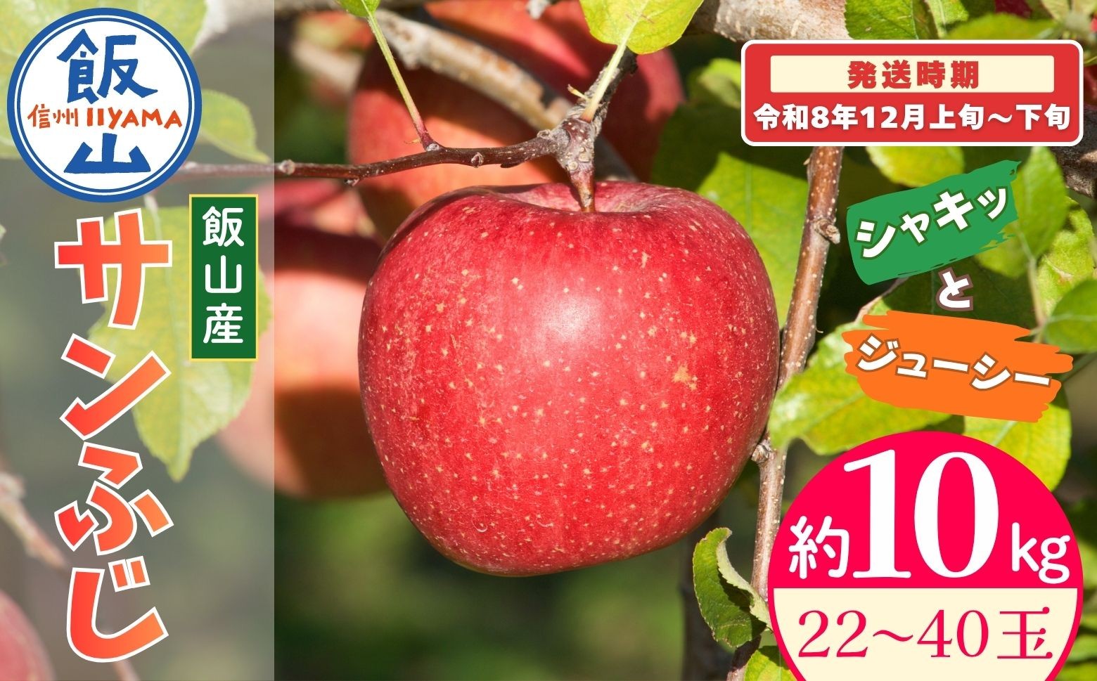 
                  【先行予約丨2026年12月上旬より順次発送】サンふじ【約10kg(22〜40玉)】丨長野県 飯山市 サンふじ 果物 デザート おやつ おすすめ ランキング おいしい 高評価 大人気 先取り 産地直送 りんご(At-032)
                